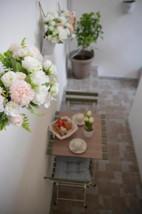 Soha Home Ognina